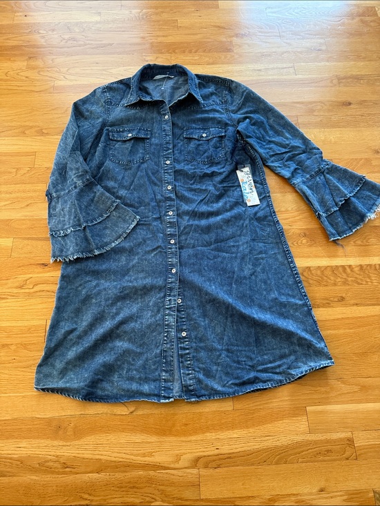Given Kale Dresses & Skirts - NWT Denim Button-Down Shirt Dress with Ruffle Sleeves - Blue